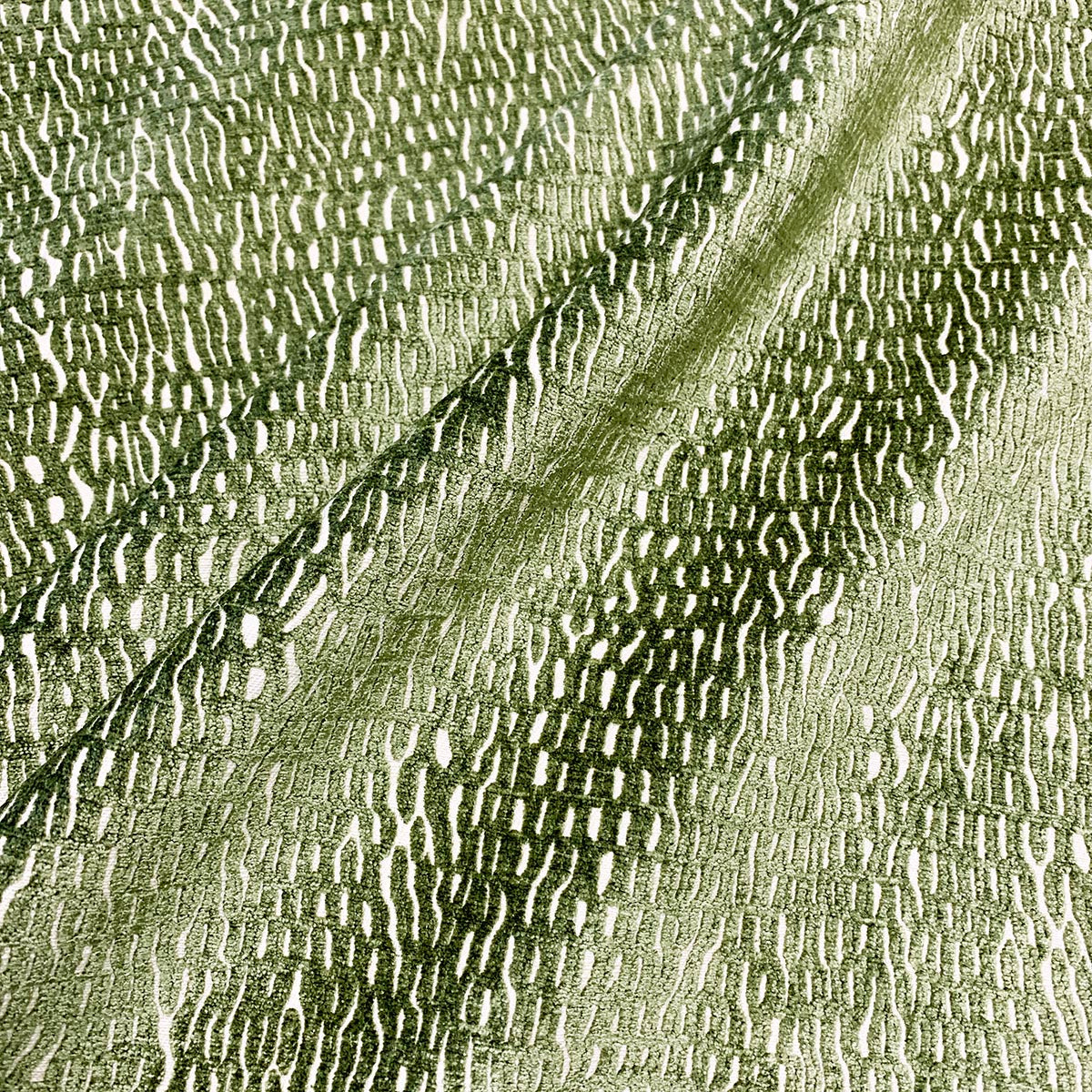 Eade’s CURRENT FERN FERN