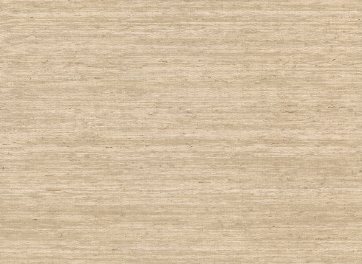 York CV4401 Arrowroot Cream Wallpaper