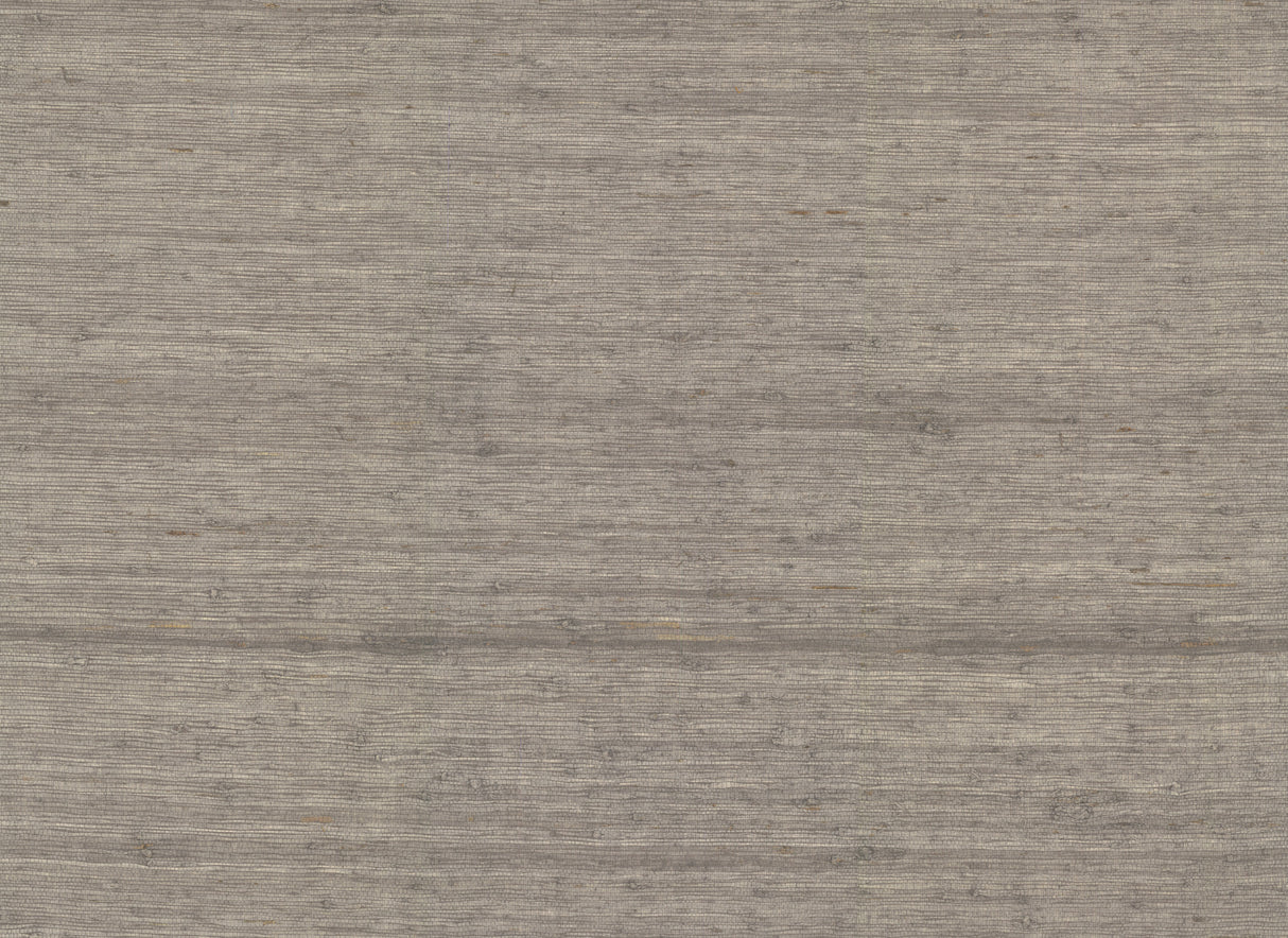 York CV4403 Arrowroot Brown Wallpaper