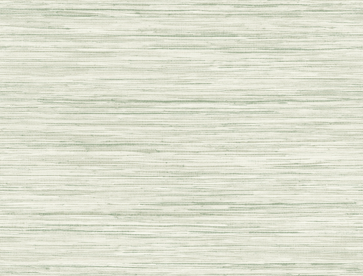 York CV4413 Bahiagrass Green Wallpaper