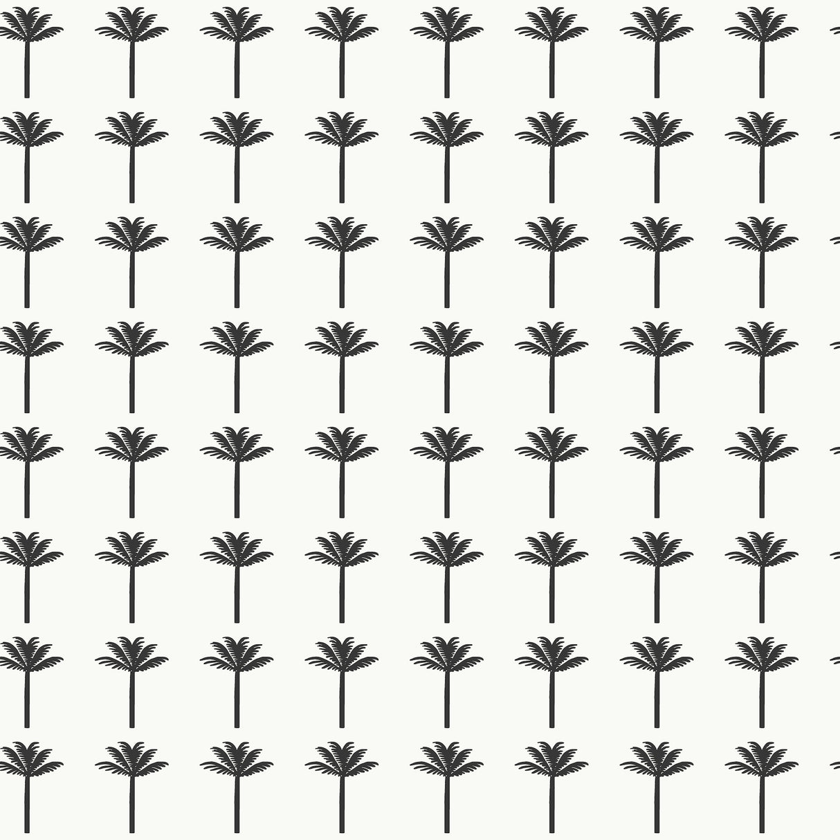 York CV4417 Palm Bay Black Wallpaper