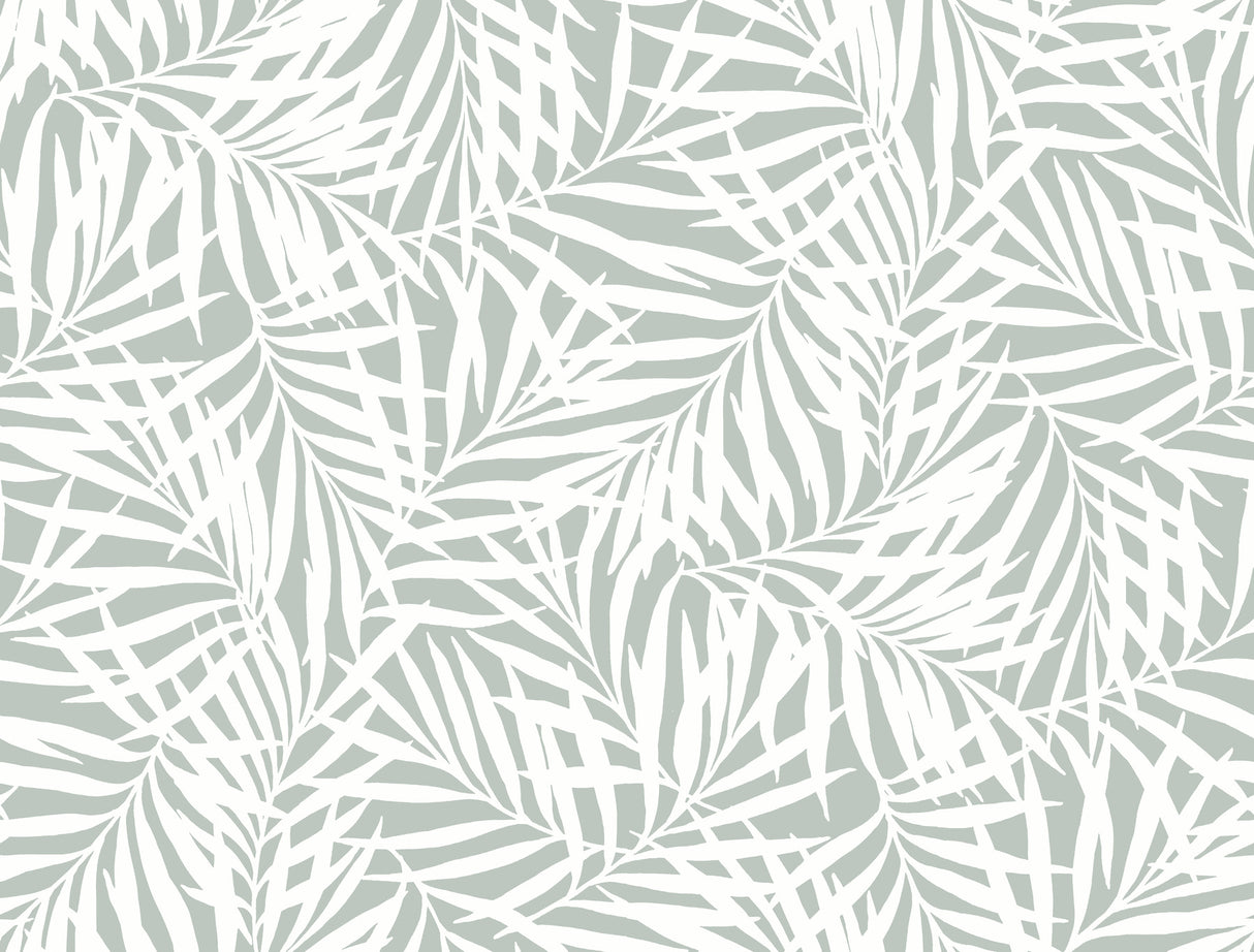 York CV4434 Oahu Fronds Light Green & White Wallpaper