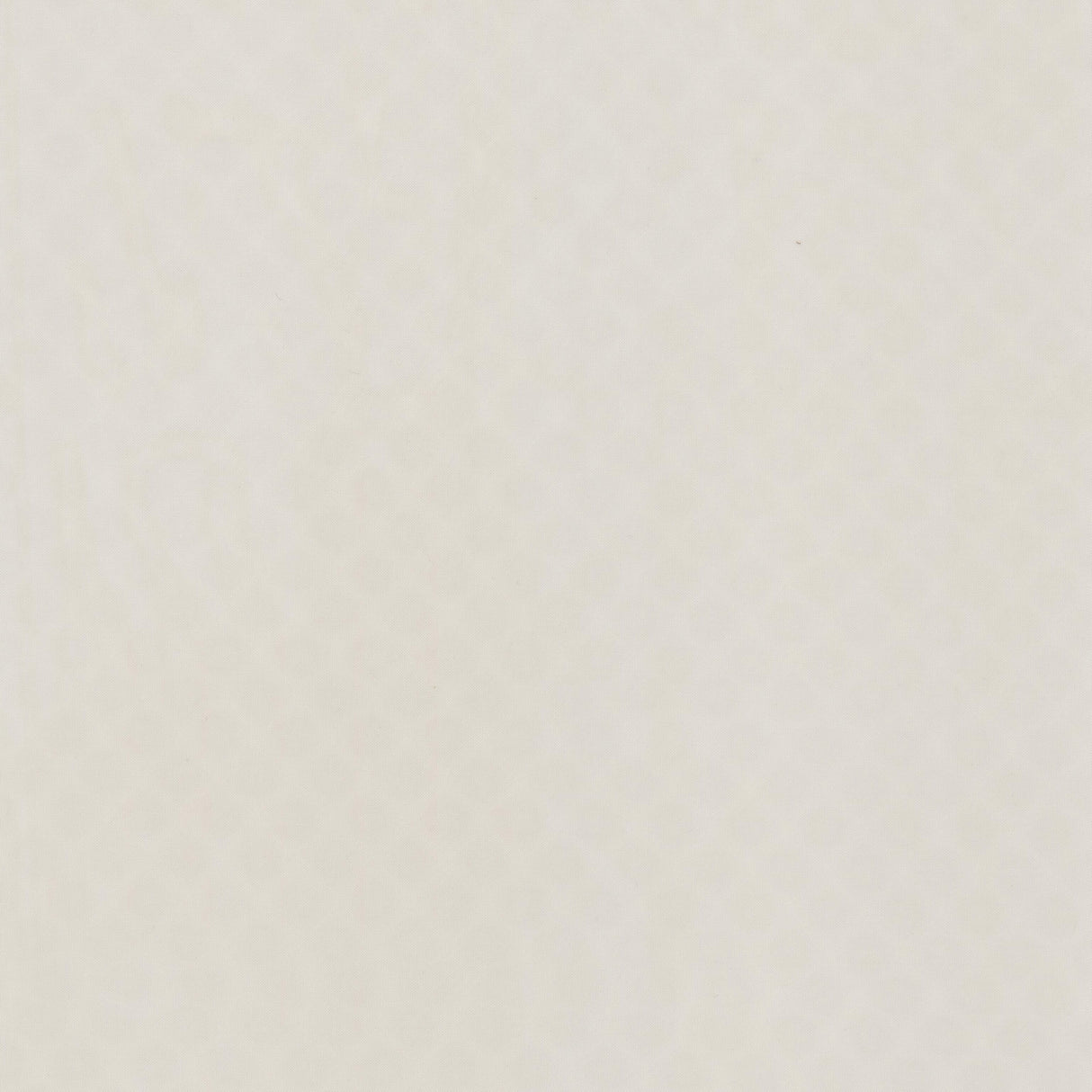 Eade's CYLI-1-sample PUMICE