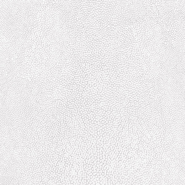 Patton / Norwall NFX G67472 Texture