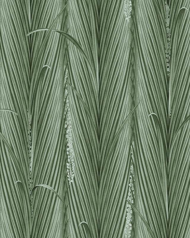 MindtheGap DANUBE FOLIAGE Absinthe - Wallpaper Collection 2024 - The Wetlands