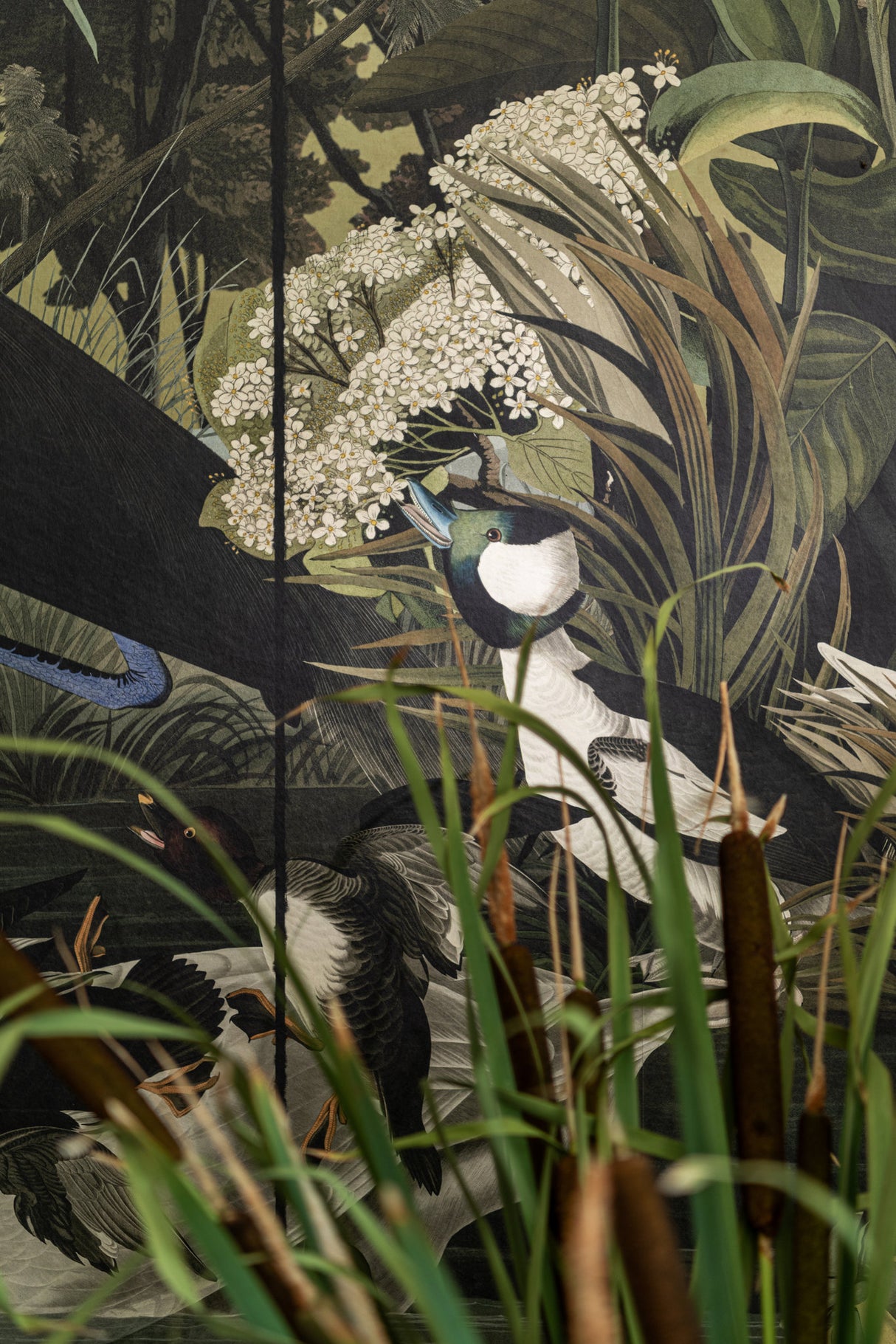 MindtheGap DANUBIAN TALE - Wallpaper Collection 2024 - The Wetlands