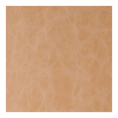 KRAVET CONTRACT DAYTRIPPER.16.0 DAYTRIPPER BUCKSKIN Fabric - Eade's Wallpaper