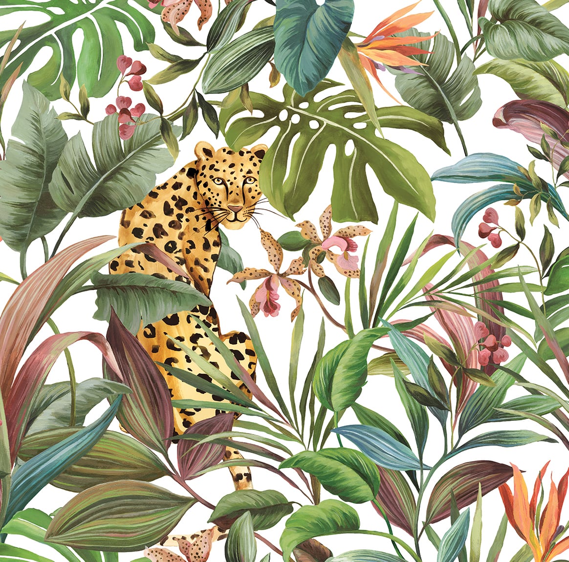Daisy Bennett Designs DB20105 Tropical Leopard Wallpaper