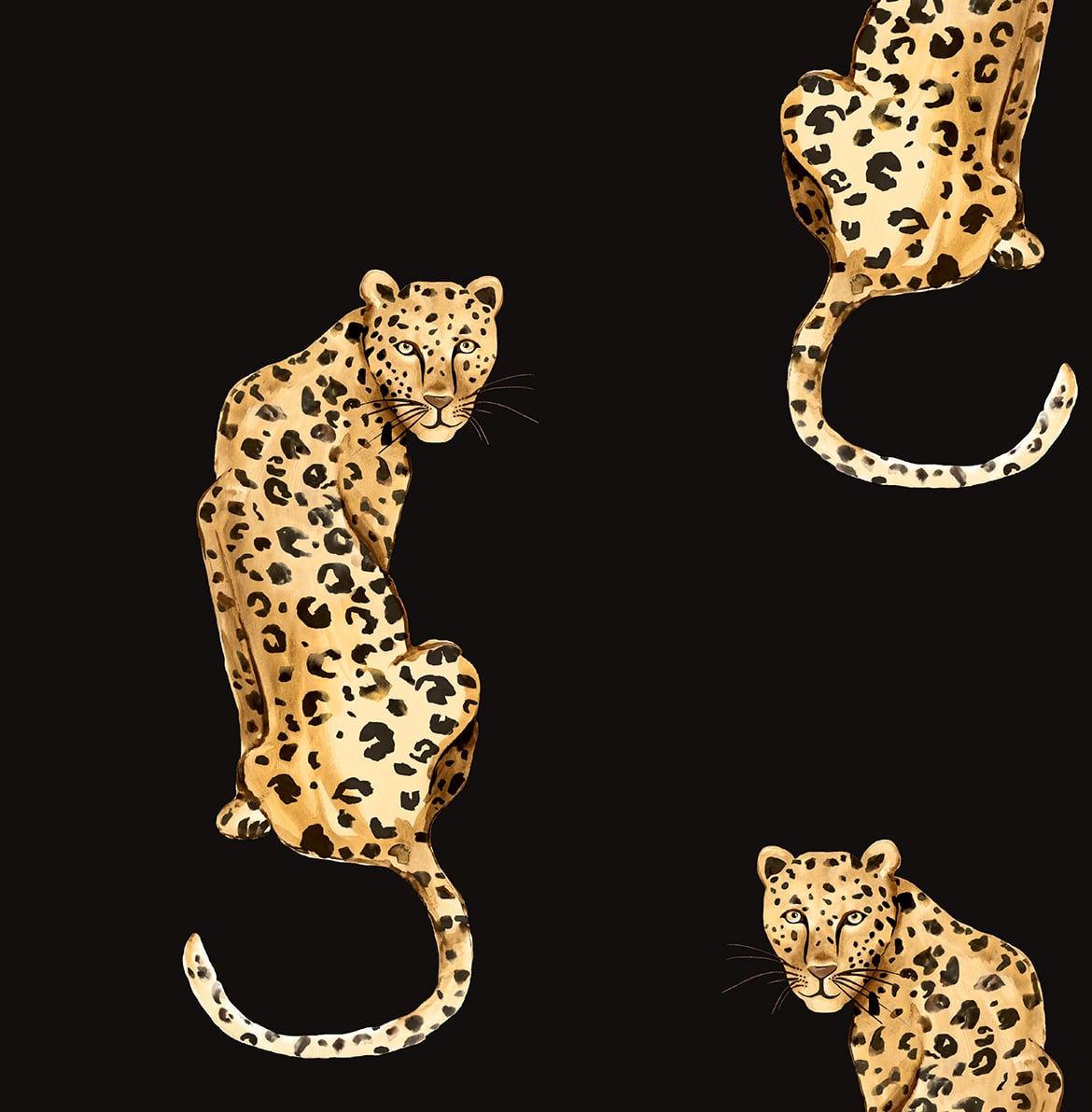 Daisy Bennett Designs DB20200 Leopard King Wallpaper