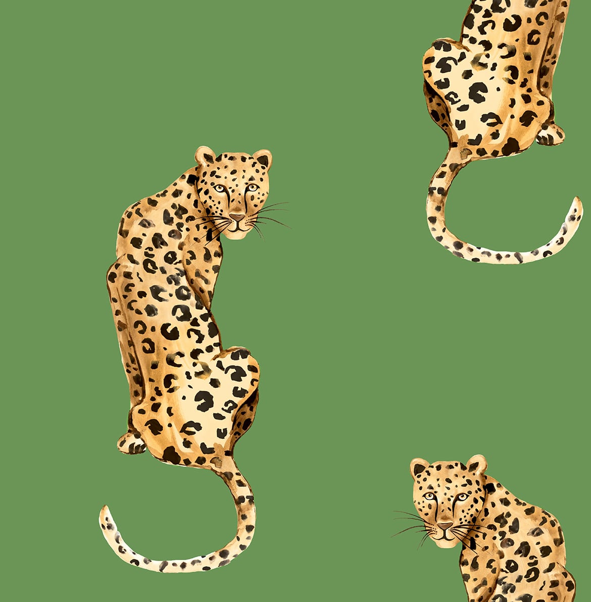 Daisy Bennett Designs DB20204 Leopard King Wallpaper