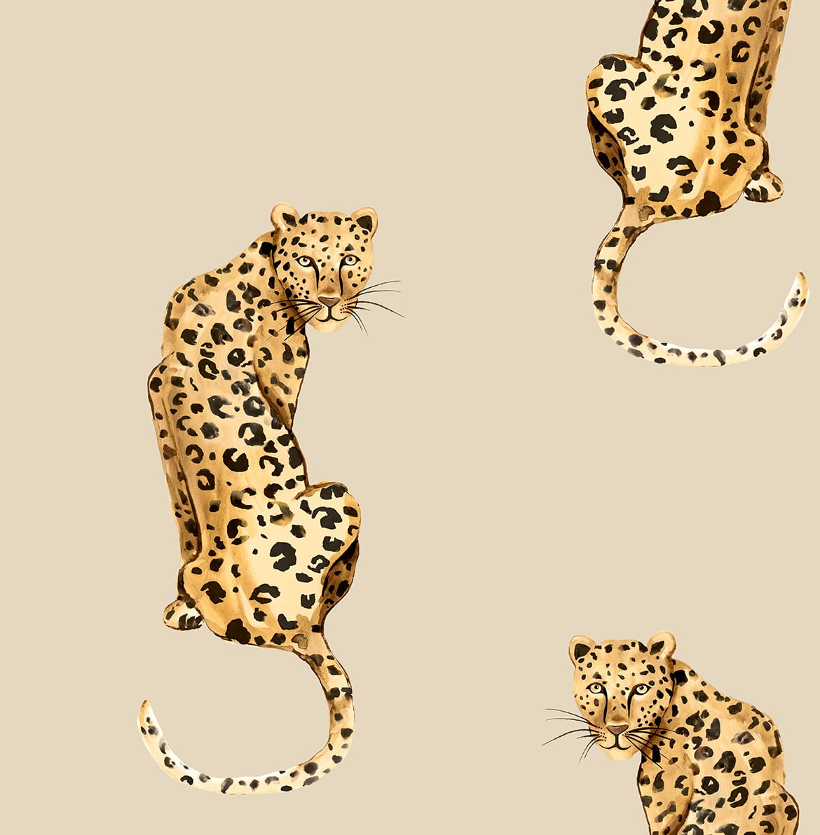 Daisy Bennett Designs DB20205 Leopard King Wallpaper