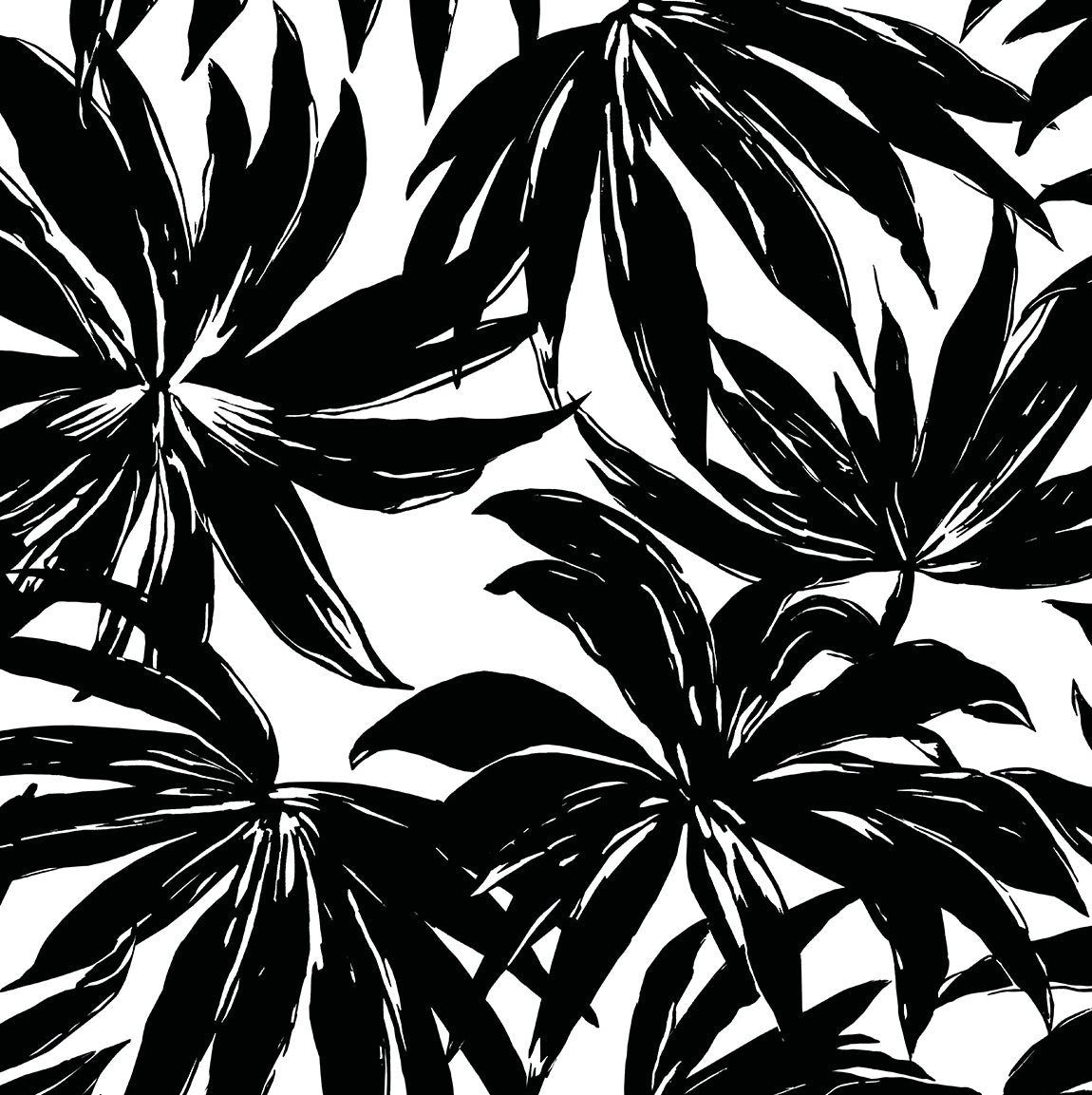 Daisy Bennett Designs DBW9111 Palma Wallpaper