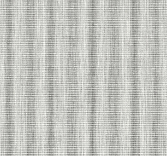 Collins & Company DC61003 Wallpaper - Eade's Wallpaper & Fabric