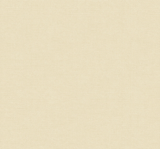 Collins & Company DC61005 Wallpaper - Eade's Wallpaper & Fabric