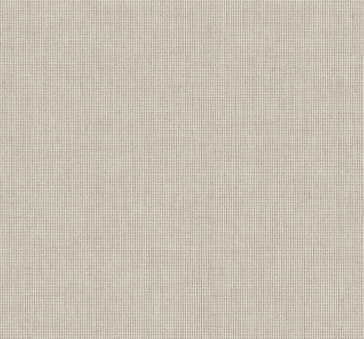 Collins & Company DC61008 Wallpaper - Eade's Wallpaper & Fabric