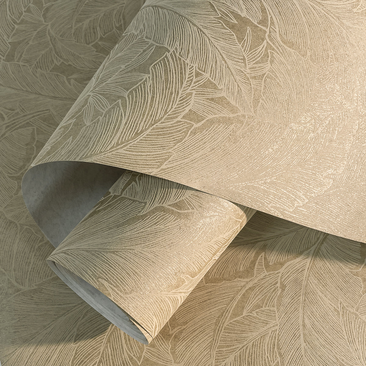 Collins & Company DC61705 Wallpaper - Eade's Wallpaper & Fabric