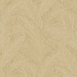 Collins & Company DC61705 Wallpaper - Eade's Wallpaper & Fabric