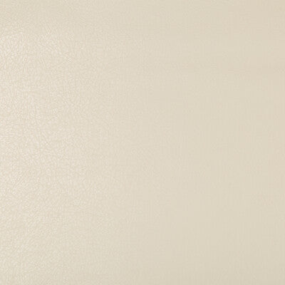 KRAVET DESIGN DEIMOS.116.0 KRAVET DESIGN DEIMOS-116 Fabric - Eade's Wallpaper