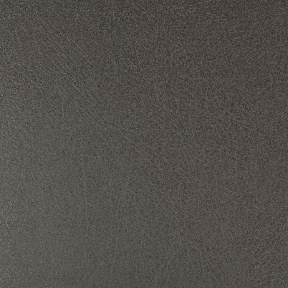 KRAVET DESIGN DEIMOS.21.0 KRAVET DESIGN DEIMOS-21 Fabric - Eade's Wallpaper