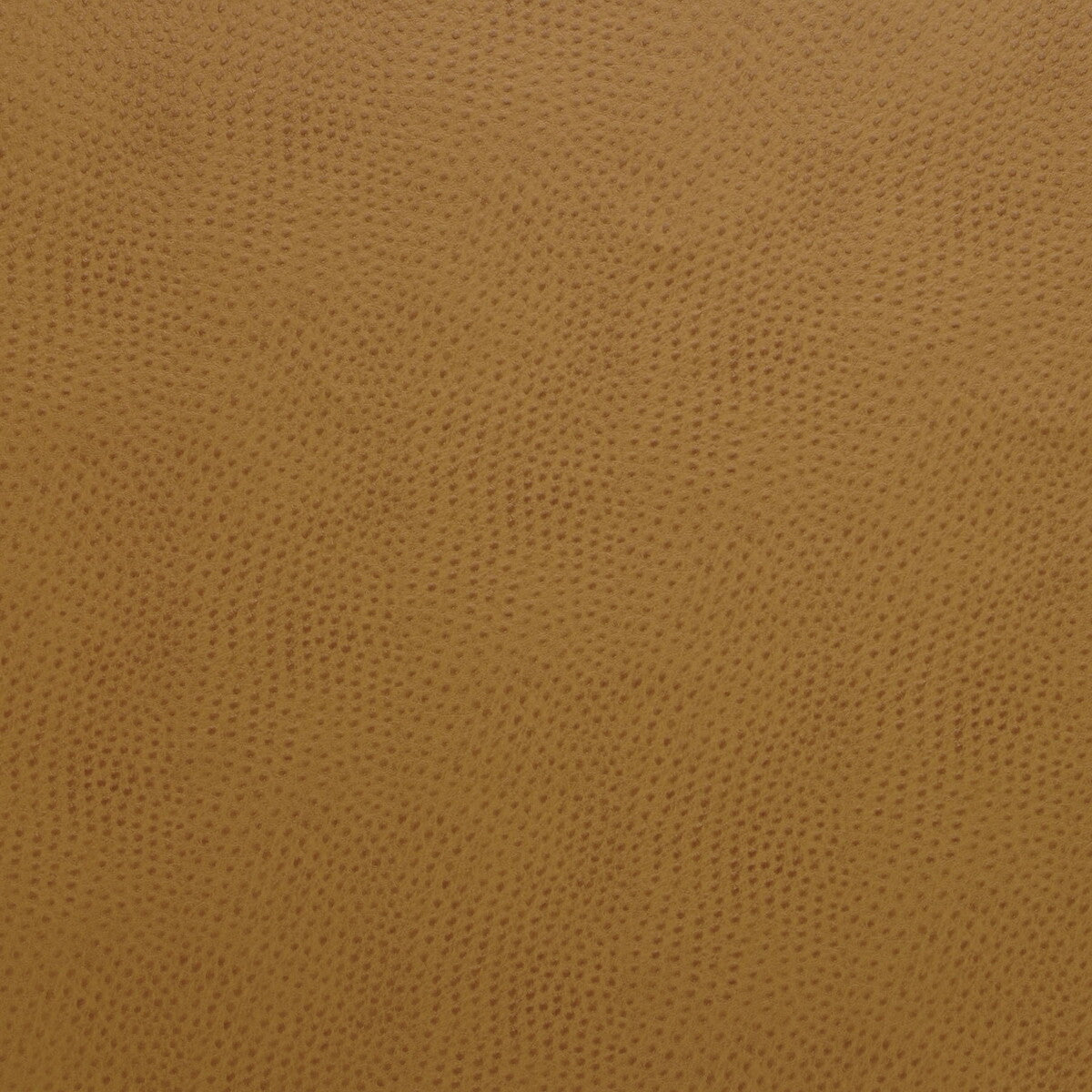 KRAVET DESIGN DELANEY.12.0 KRAVET DESIGN DELANEY-12 Fabric - Eade's Wallpaper