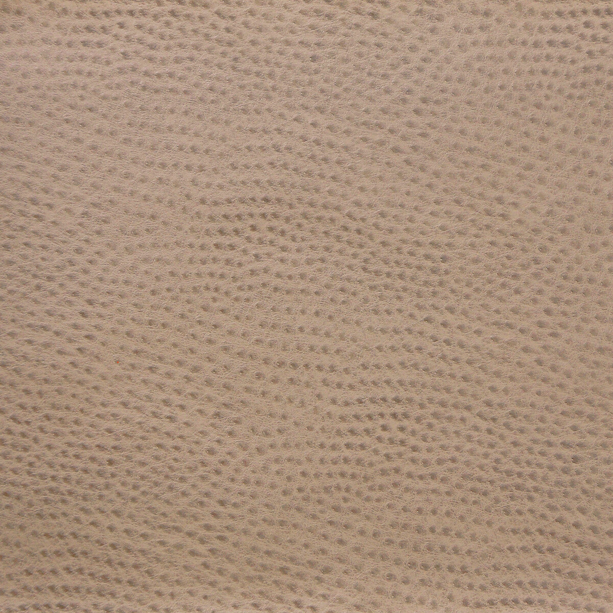 KRAVET DESIGN DELANEY.1616.0 KRAVET DESIGN DELANEY-1616 Fabric - Eade's Wallpaper