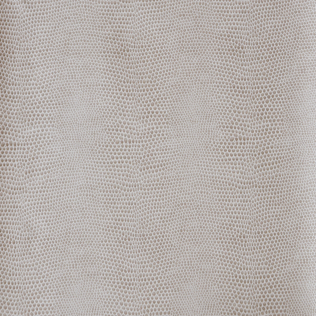 KRAVET DESIGN DEREK.11.0 KRAVET DESIGN DEREK-11 Fabric - Eade's Wallpaper