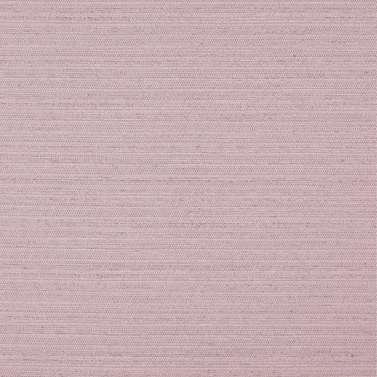 Eade’s # 718 LILAC