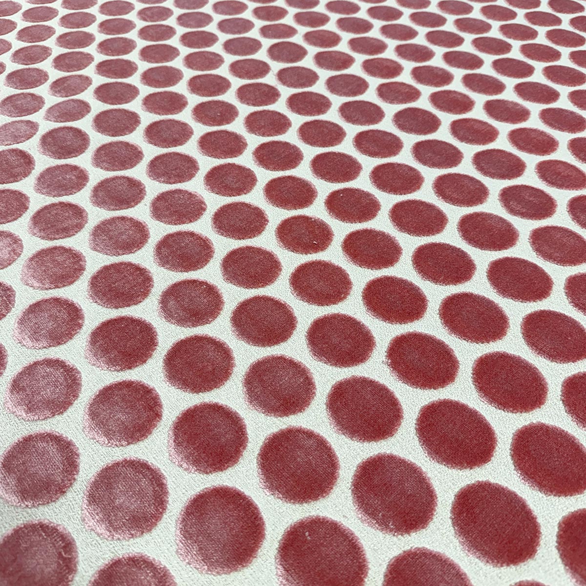 Eade’s DISKY BLOSSOM BLOSSOM