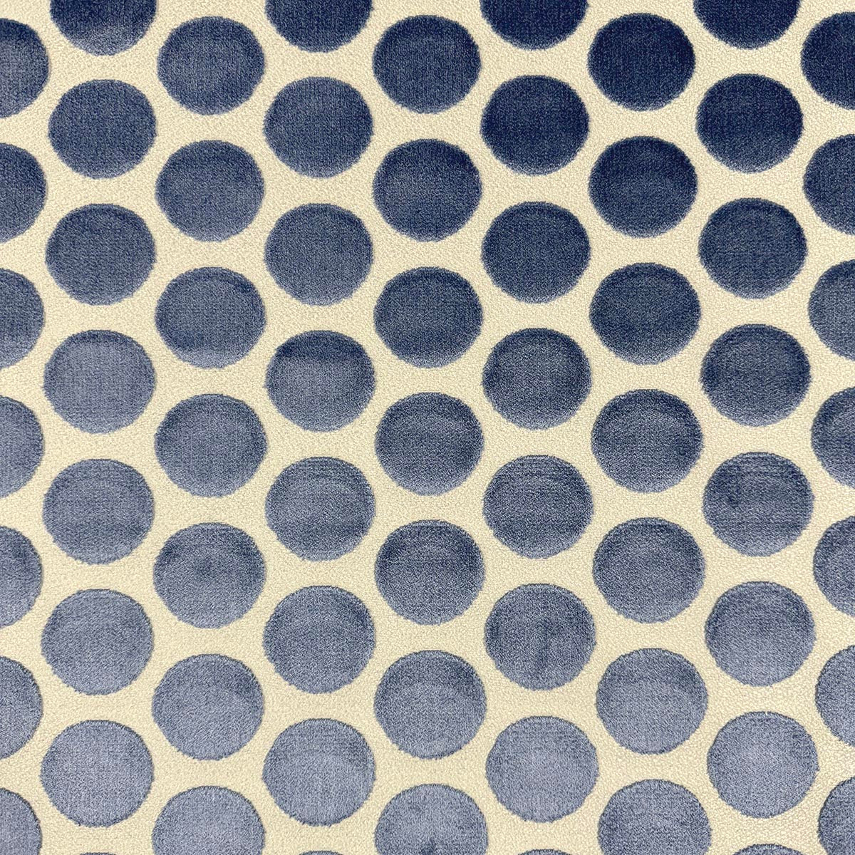 Eade’s DISKY CORNFLOWER CORNFLOWER