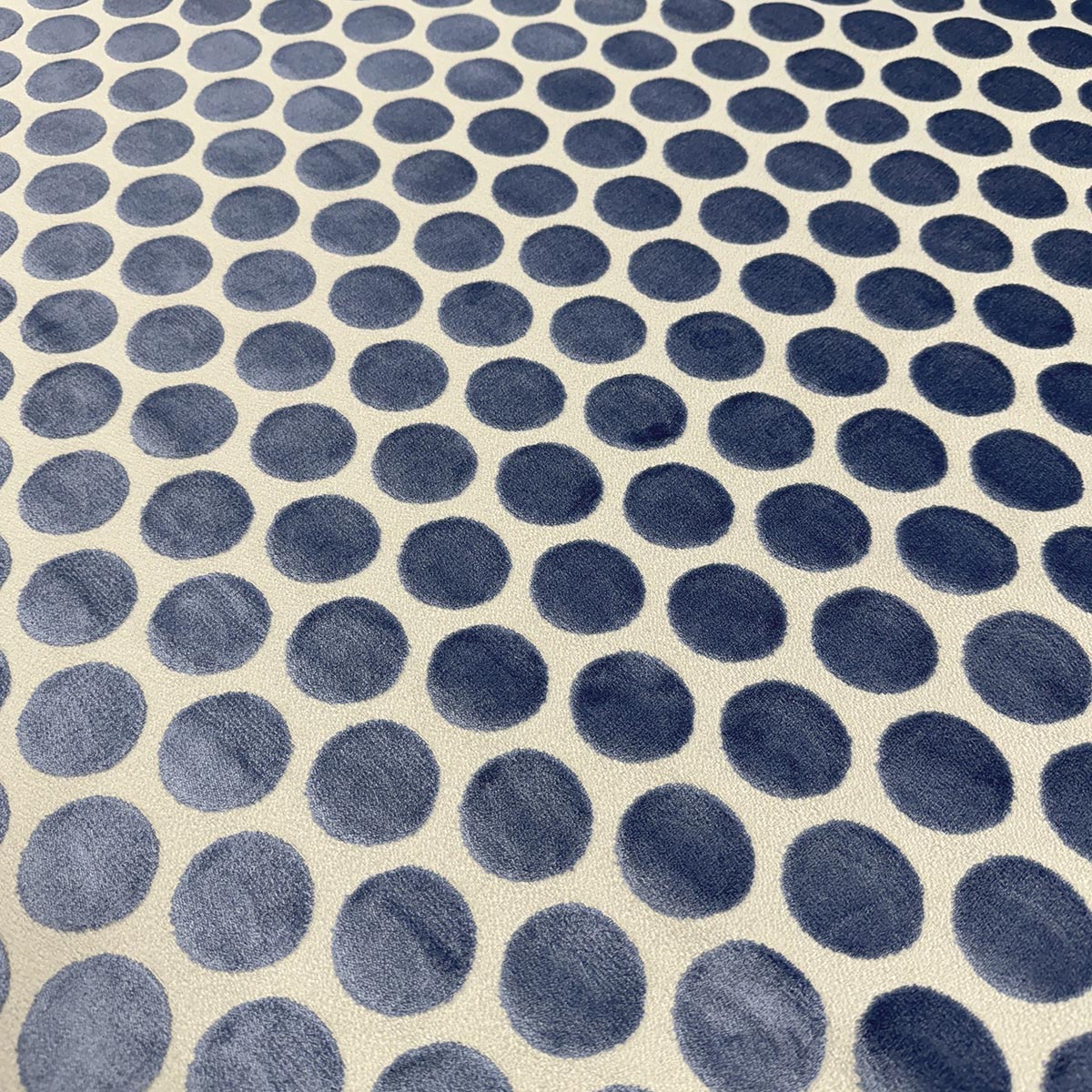 Eade’s DISKY CORNFLOWER CORNFLOWER