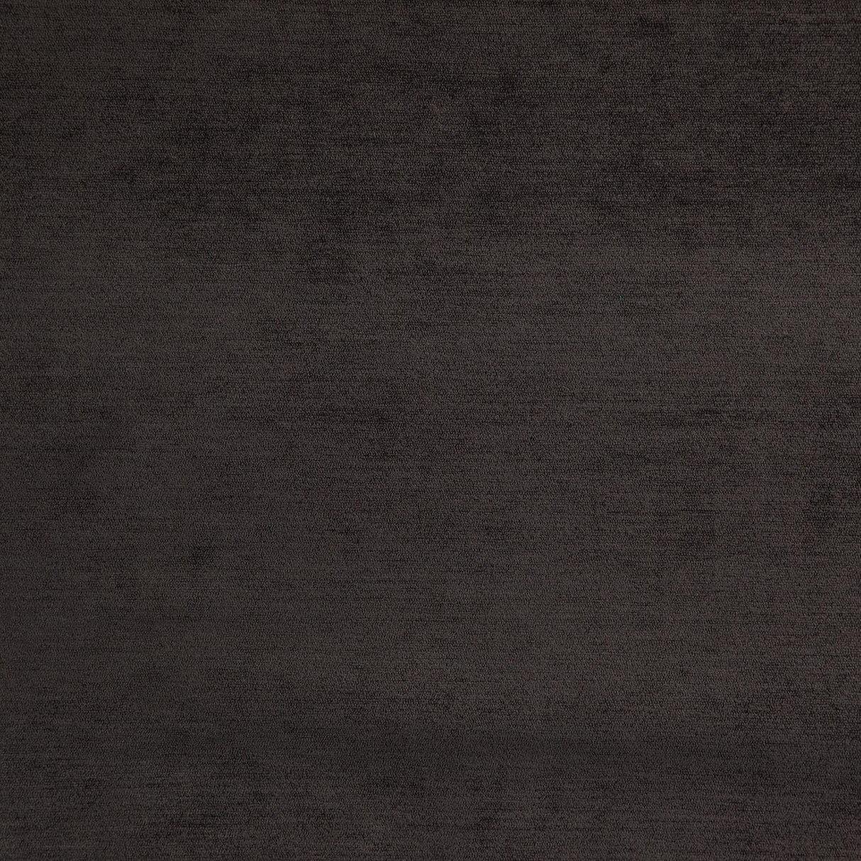 Eade’s # 08 PINECONE