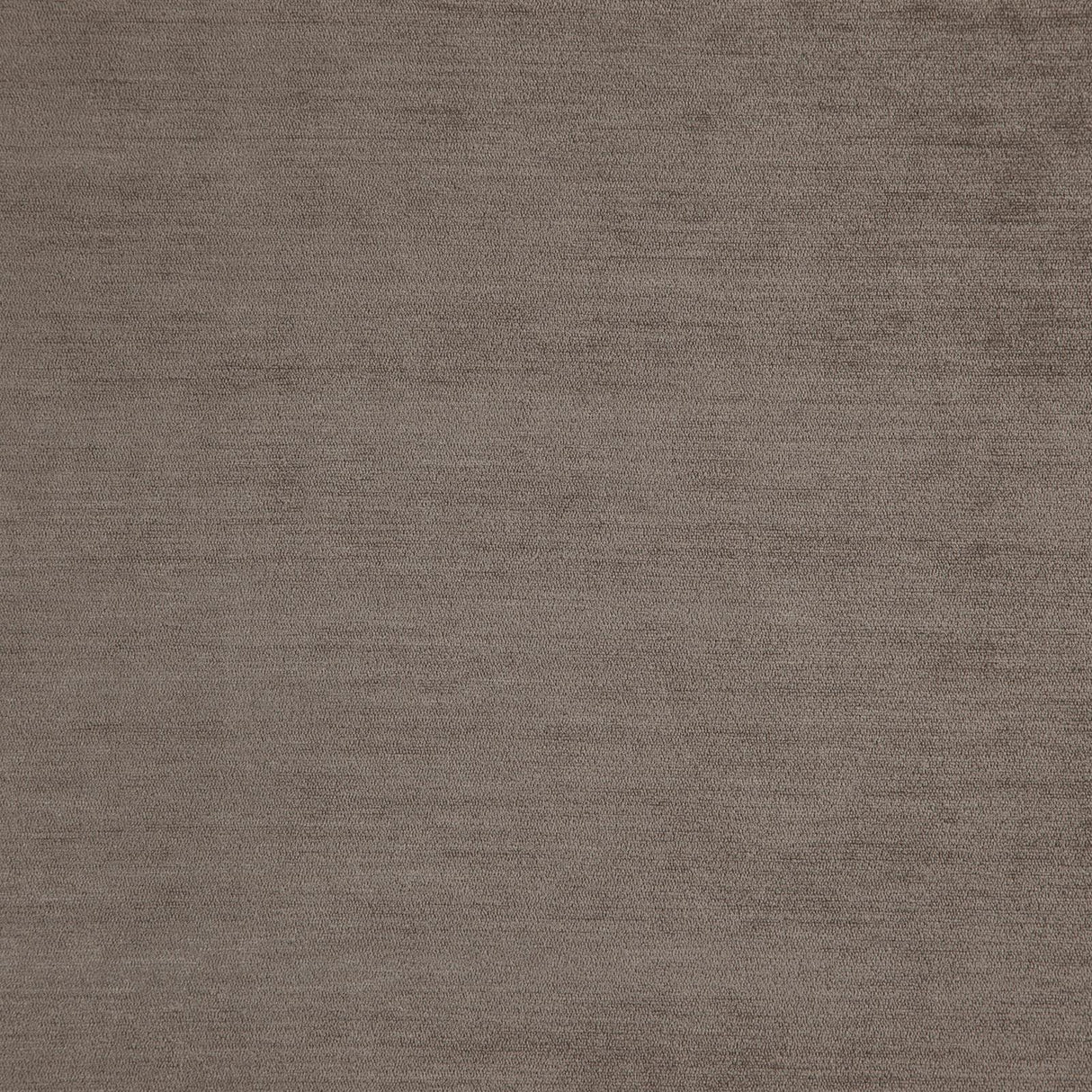 Eade’s # 10 MUSHROOM