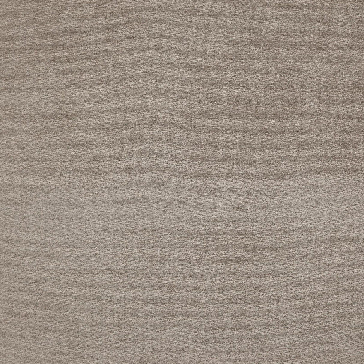 Eade’s # 12 SESAME