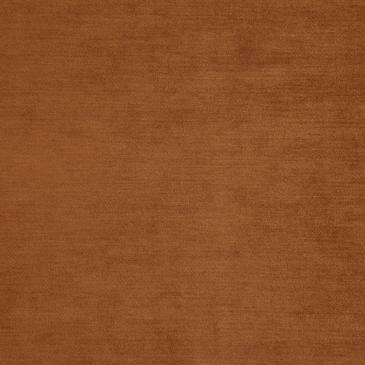 Eade’s # 20 PUMPKIN