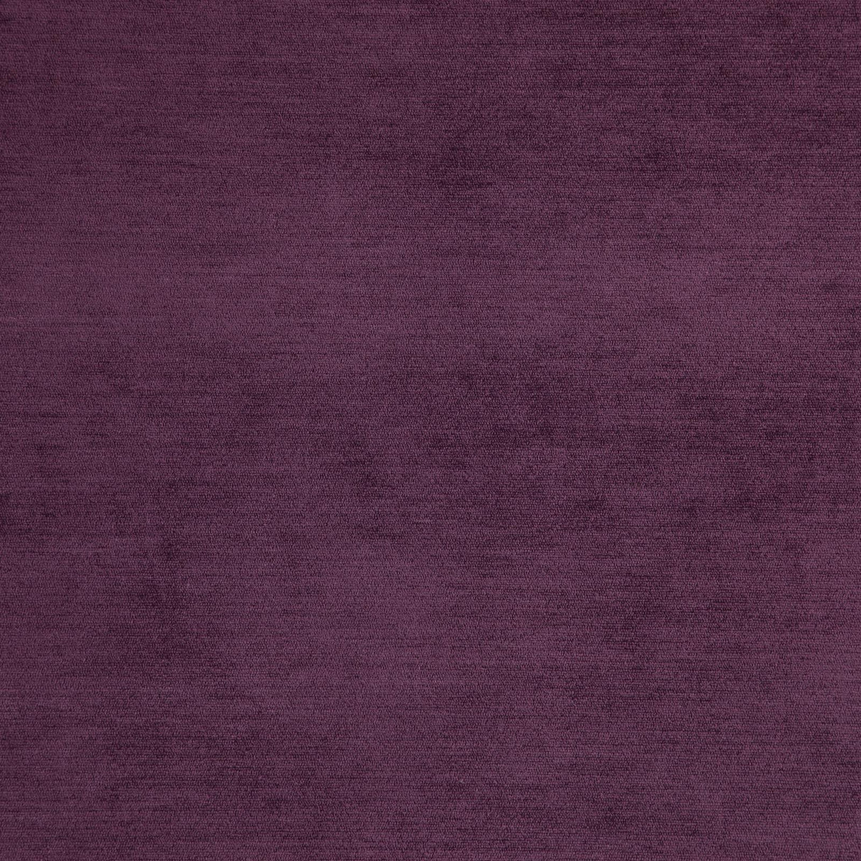 Eade’s # 25 CROCUS