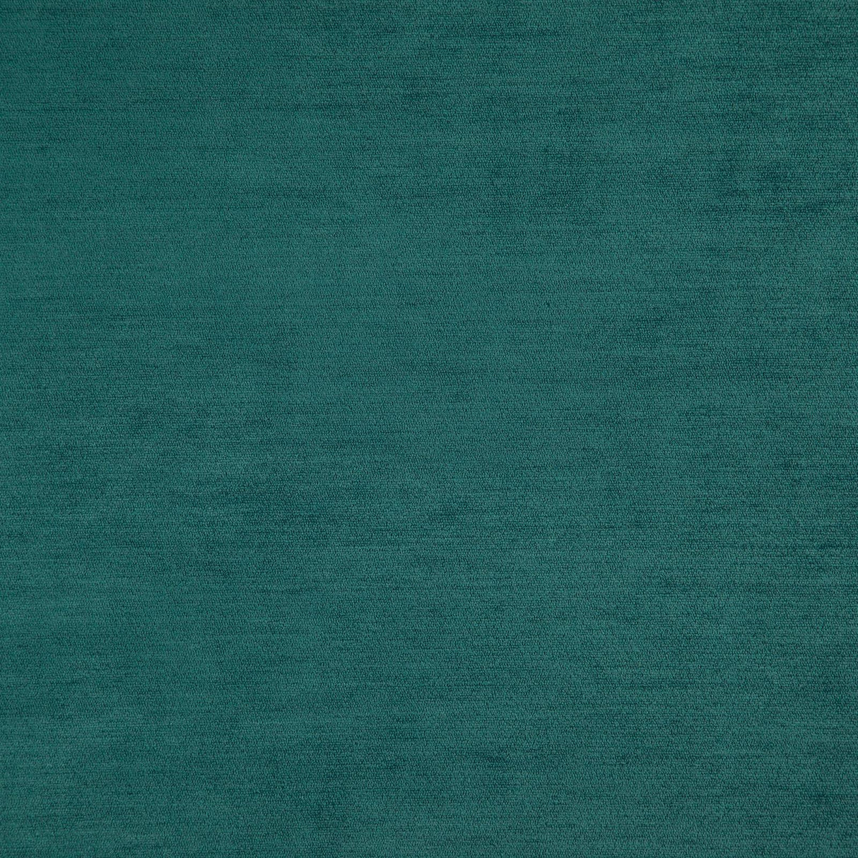 Eade’s # 35 PEACOCK