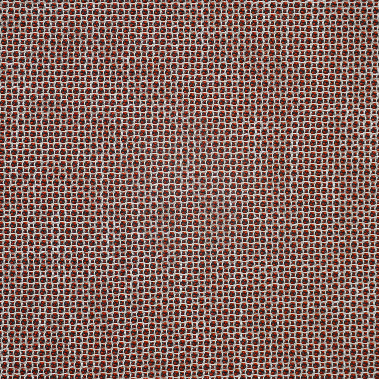 Eade’s # 711 CARMINE