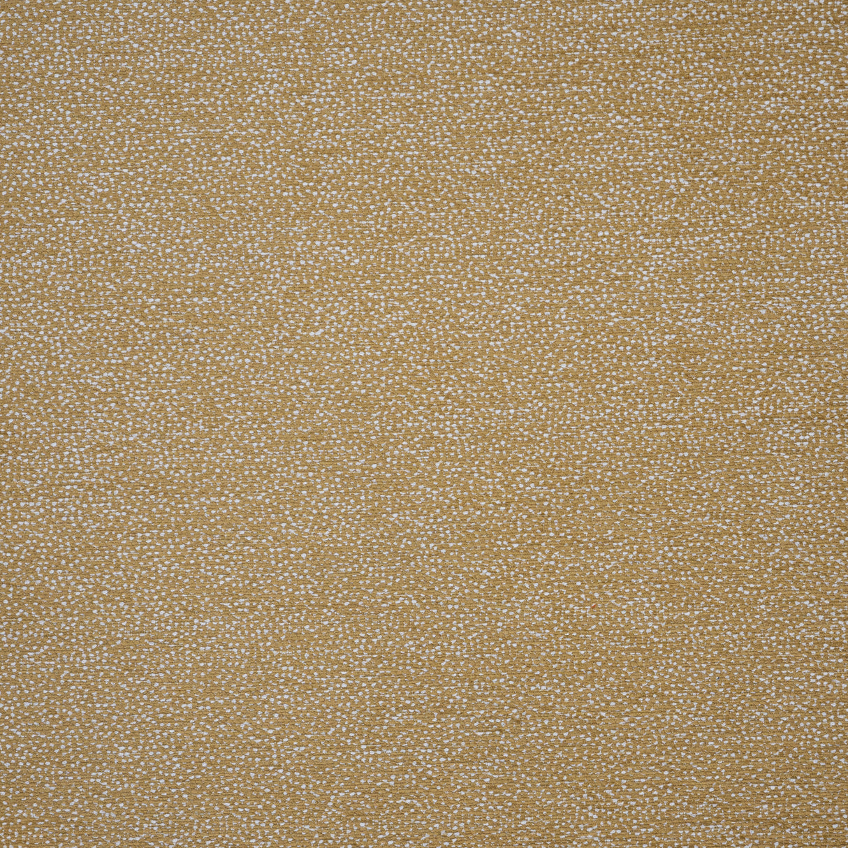 Eade’s # 709 CAMEL