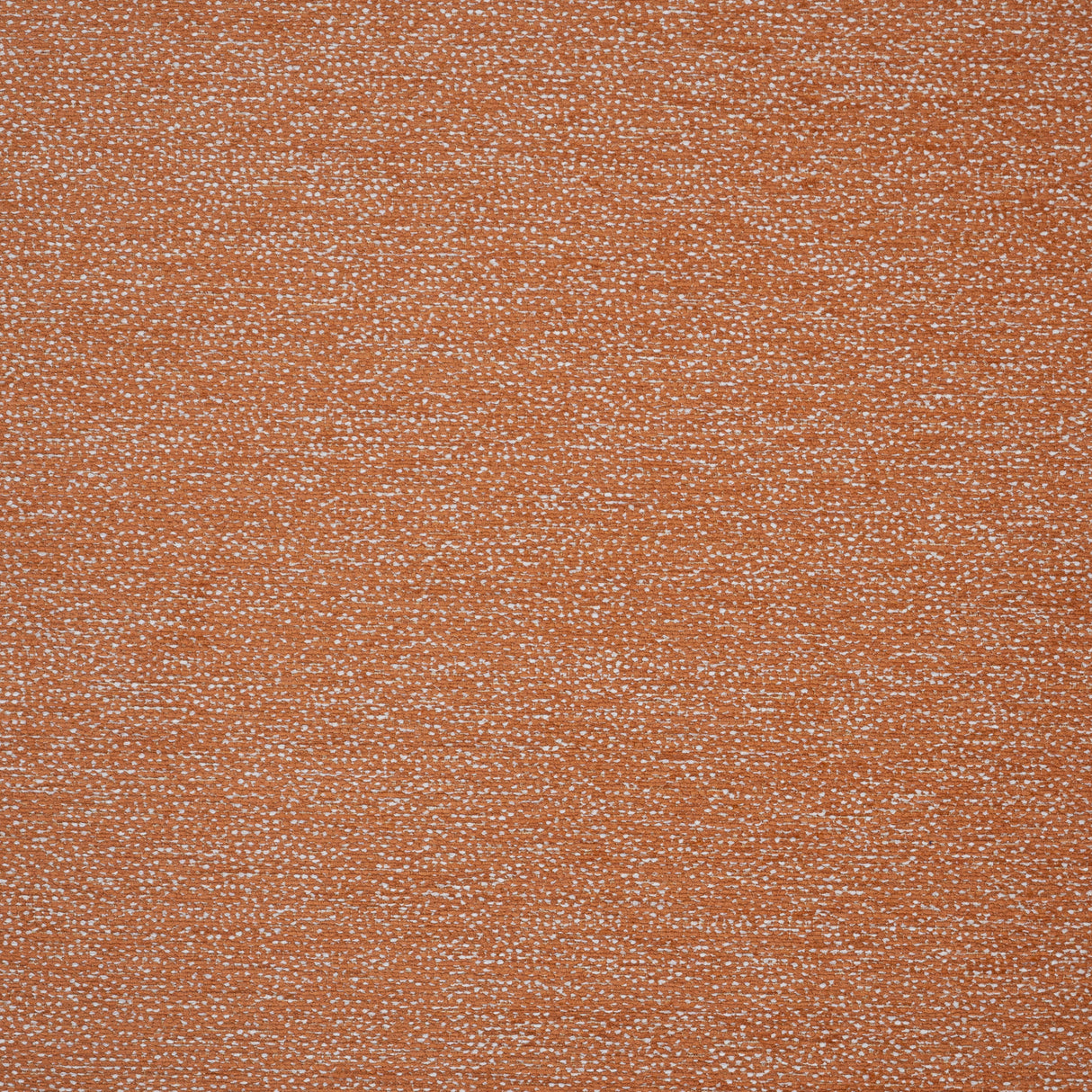 Eade’s # 811 CAMPARI