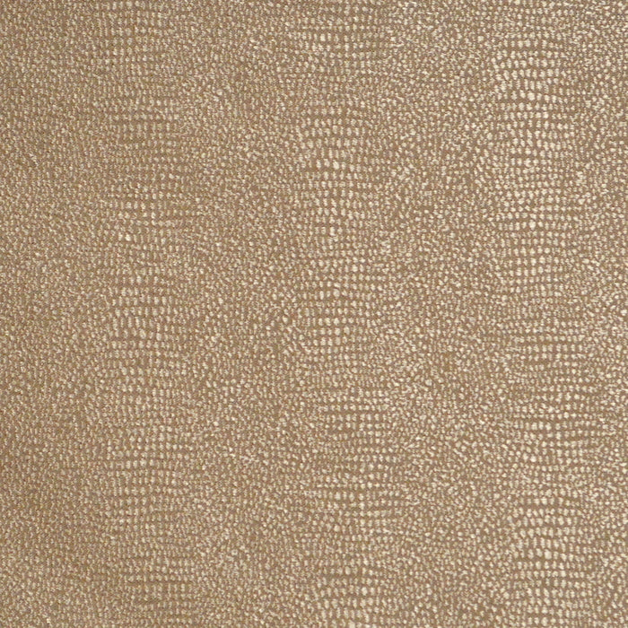 Eade’s DOC GLITZ GLITZ