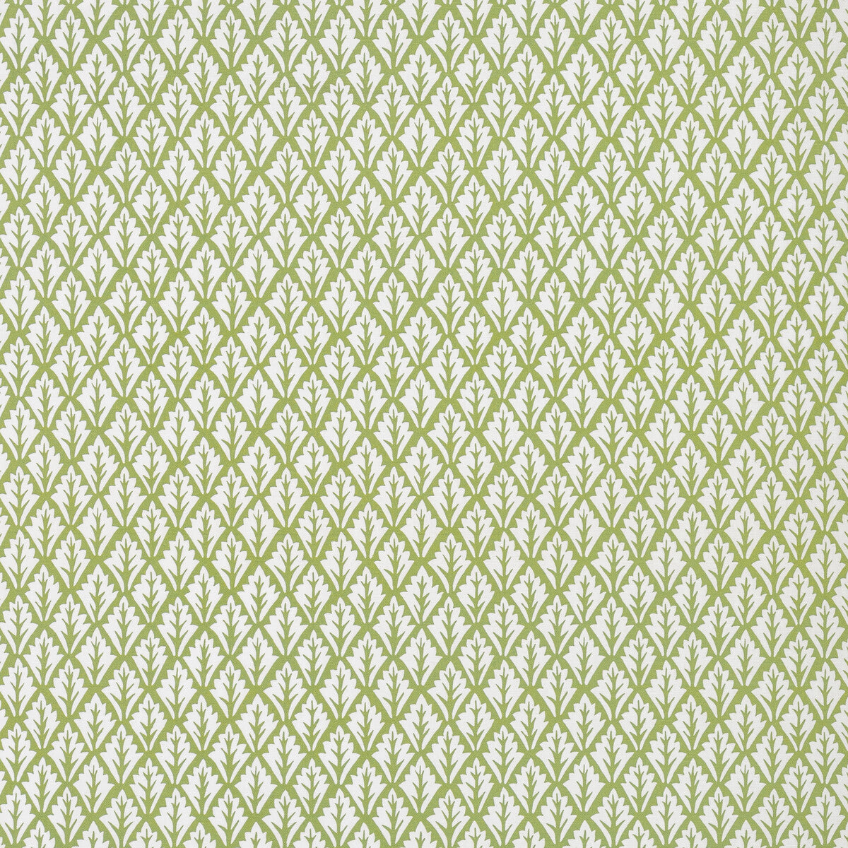 KRAVET BASICS DORSO.23.0 DORSO OLIVE Fabric - Eade's Wallpaper