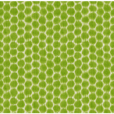 KRAVET DESIGN DOTKAT.3.0 DOTKAT GLADE Fabric - Eade's Wallpaper