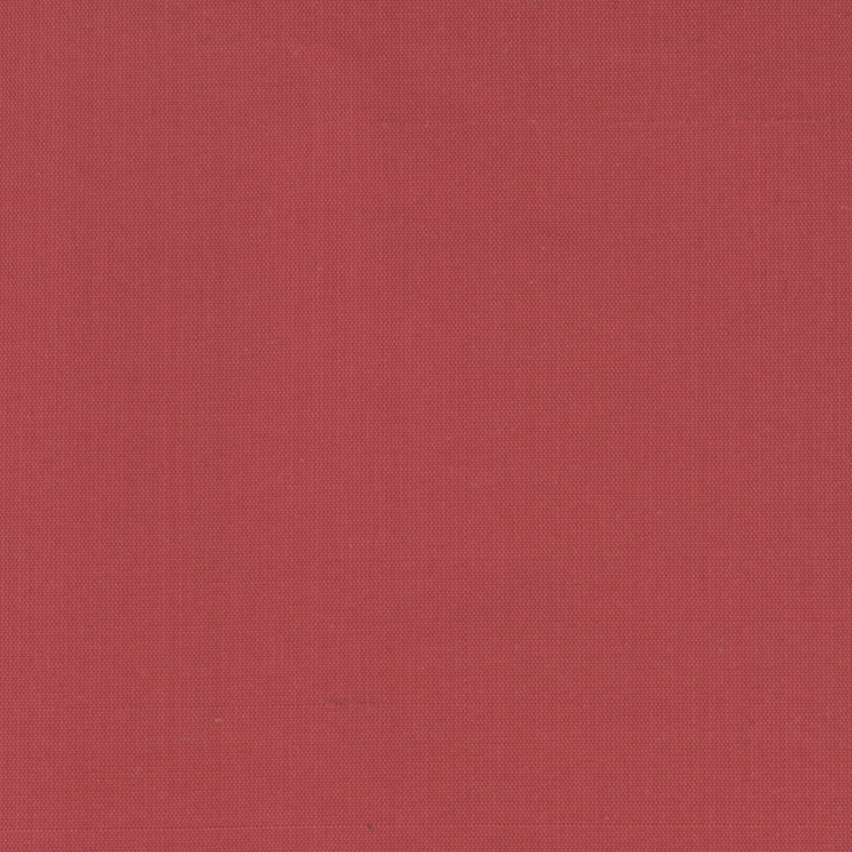 Eade's DUPI-68-sample WATERMELON