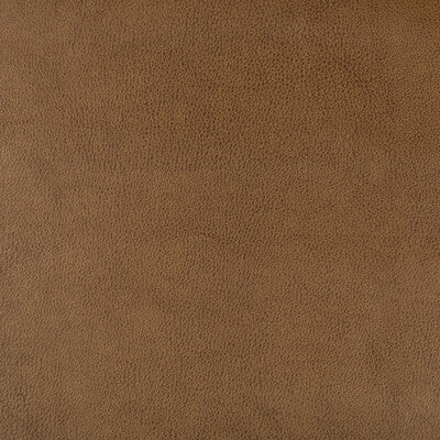 KRAVET DESIGN DUST.616.0 KRAVET DESIGN DUST-616 Fabric - Eade's Wallpaper