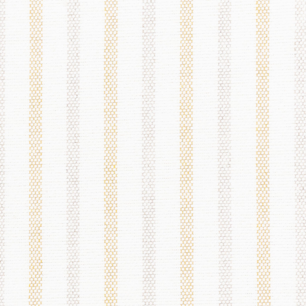 STOUT DUTY-1 DUTY 1 HONEY Fabric - Eades Wallpaper & Fabric