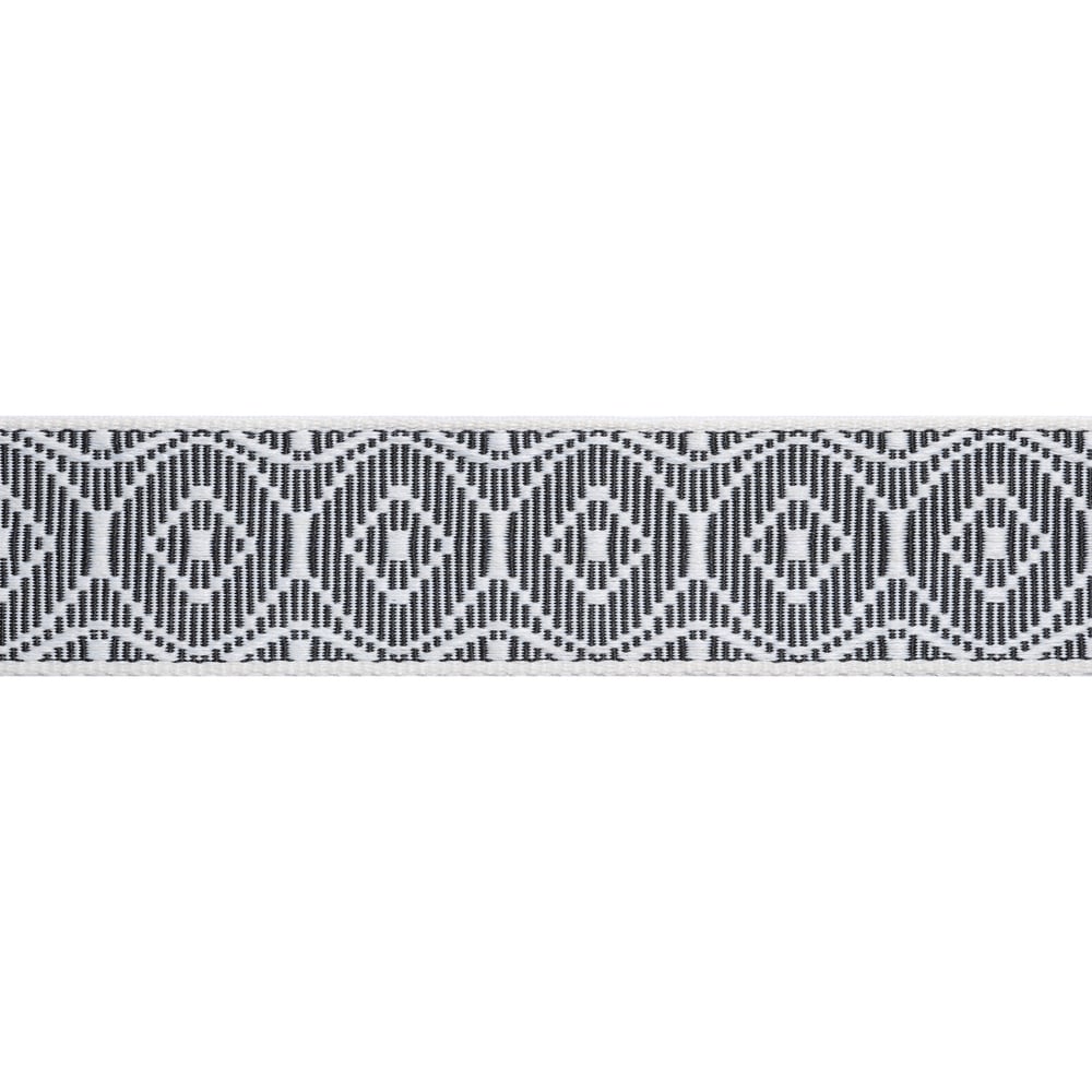 Thibaut KNOX TAPE E12452 in Onyx Trim - TAPES & TRIMS VOL. 6