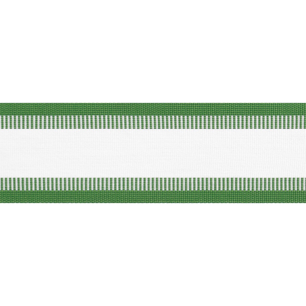 Thibaut NORDIA TAPE E81856 in Kelly Trim - TAPES & TRIMS VOL
