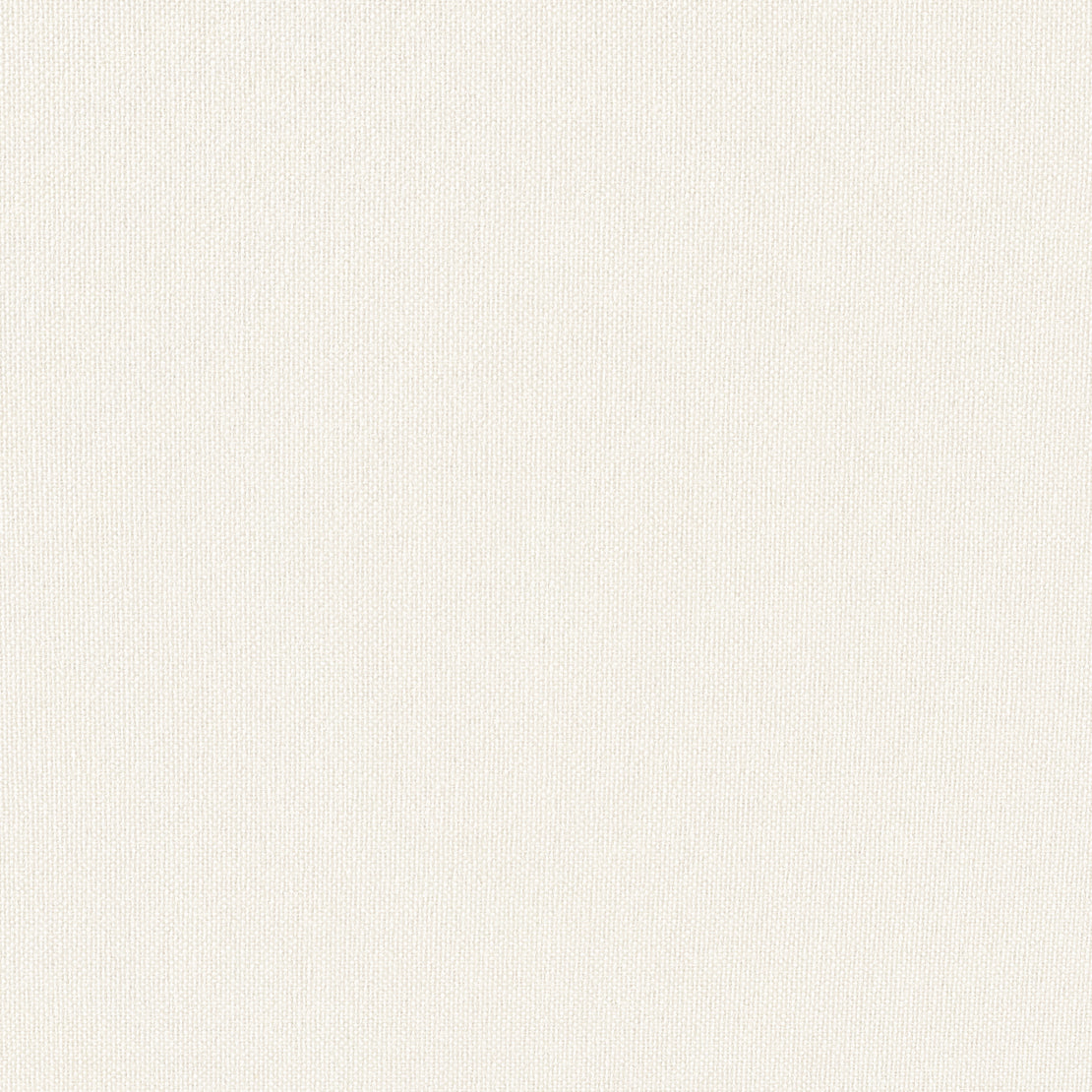 Eade’s ECLIPSE SHELL SHELL