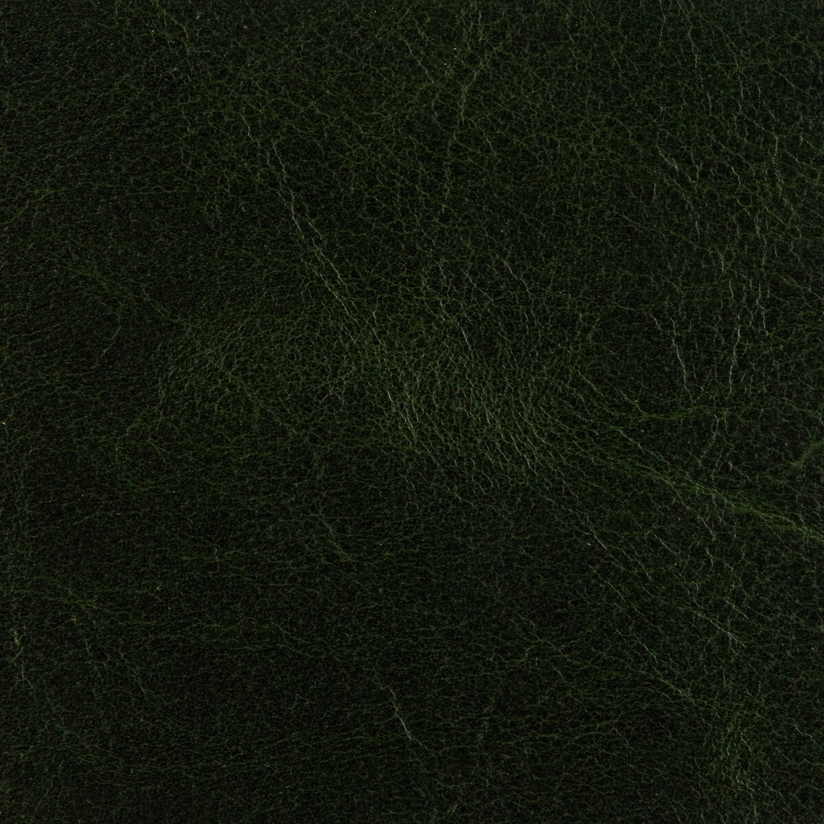 THREADS ED50015.794.0 CRAWFORD FOREST GREEN Fabric - Eade's Wallpaper