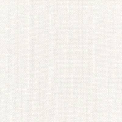 THREADS ED85251.104.0 CAMI IVORY Fabric - Eade's Wallpaper